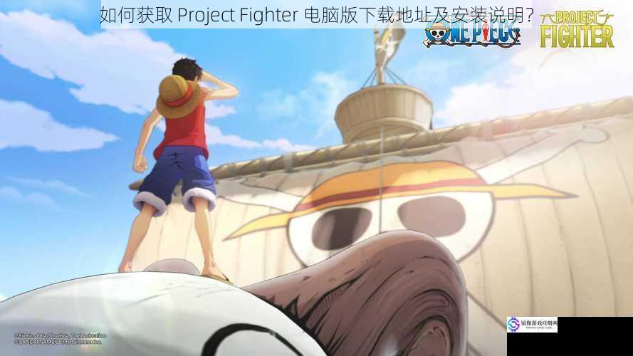 如何获取 Project Fighter 电脑版下载地址及安装说明?