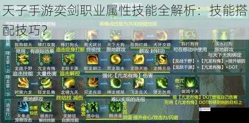 天子手游奕剑职业属性技能全解析:技能搭配技巧?