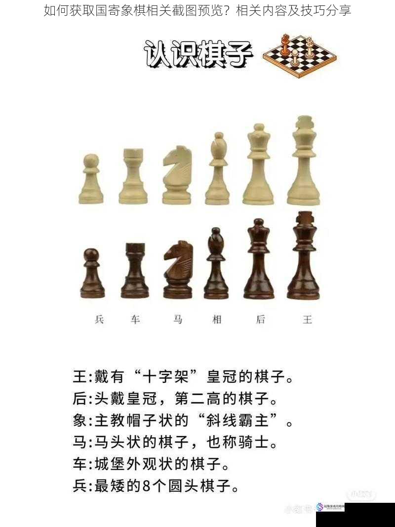 如何获取国寄象棋相关截图预览?相关内容及技巧分享