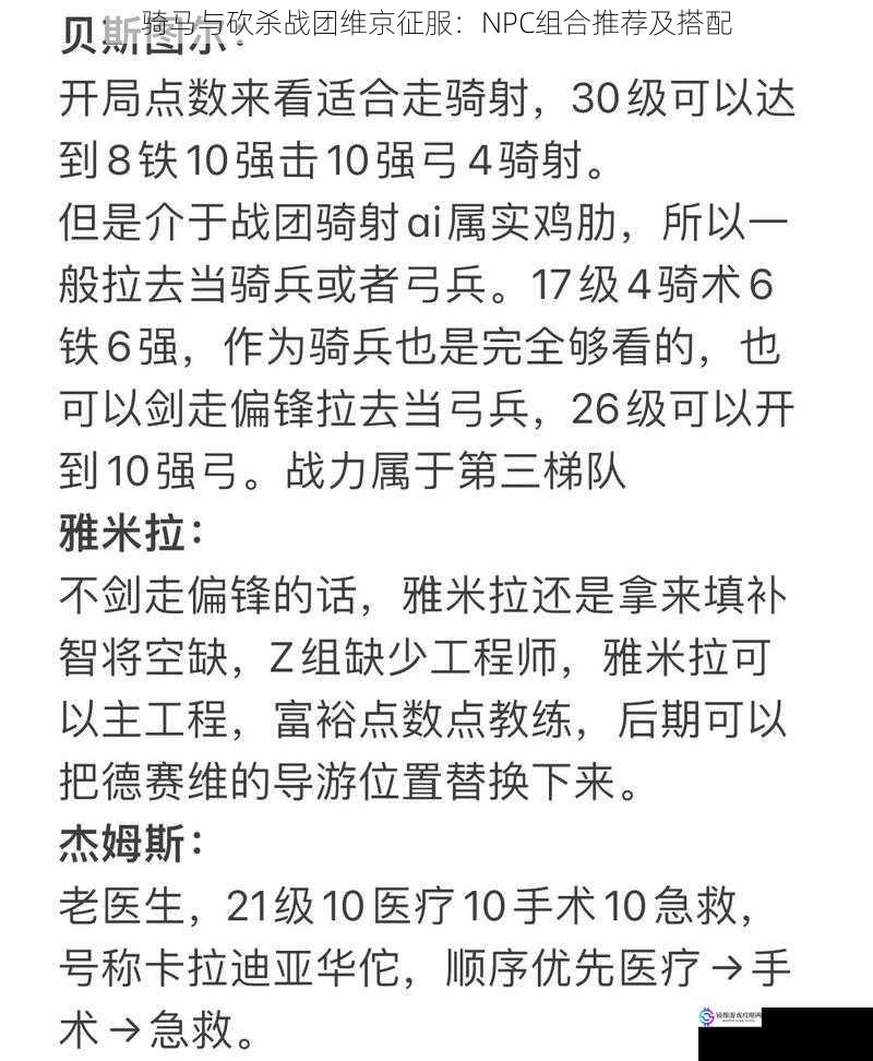骑马与砍杀战团维京征服:NPC 组合推荐及搭配