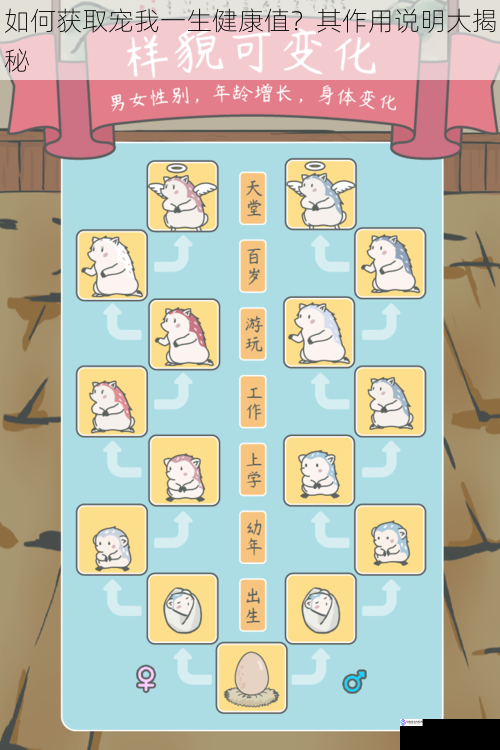 如何获取宠我一生健康值?其作用说明大揭秘