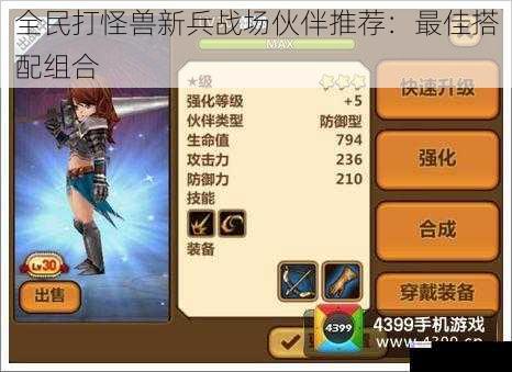 全民打怪兽新兵战场伙伴推荐:最佳搭配组合