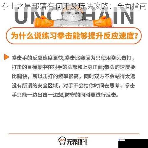 拳击之星部落有何用及玩法攻略:全面指南