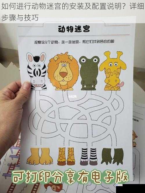 如何进行动物迷宫的安装及配置说明?详细步骤与技巧