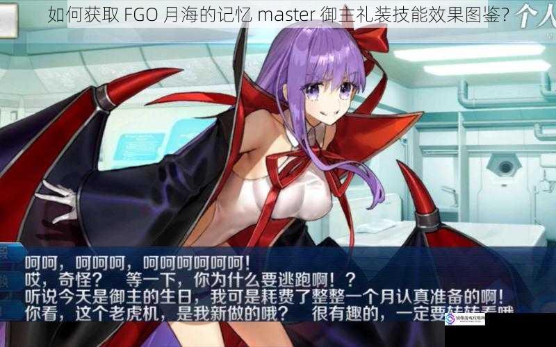如何获取 FGO 月海的记忆 master 御主礼装技能效果图鉴?