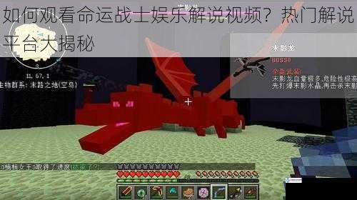 如何观看命运战士娱乐解说视频?热门解说平台大揭秘