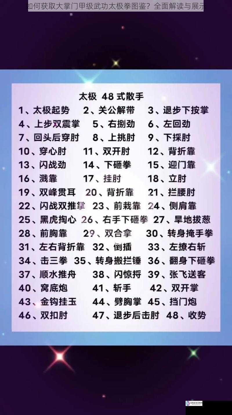 如何获取大掌门甲级武功太极拳图鉴?全面解读与展示