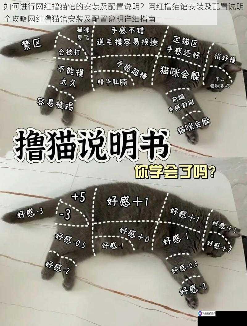 如何进行网红撸猫馆的安装及配置说明?网红撸猫馆安装及配置说明全攻略网红撸猫馆安装及配置说明详细指南