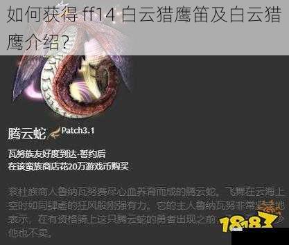 如何获得 ff14 白云猎鹰笛及白云猎鹰介绍?
