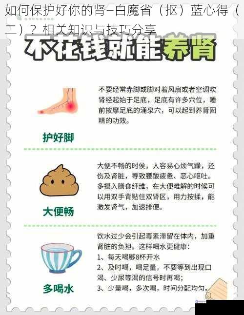 如何保护好你的肾—白魔省(抠)蓝心得(二)?相关知识与技巧分享