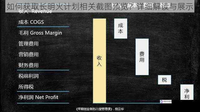 如何获取长明火计划相关截图预览?详细解读与展示