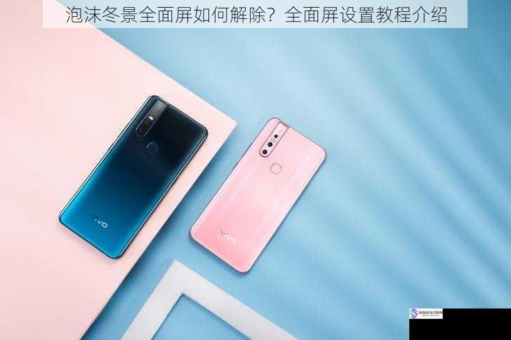 泡沫冬景全面屏如何解除?全面屏设置教程介绍