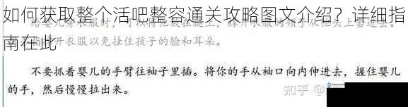 如何获取整个活吧整容通关攻略图文介绍?详细指南在此