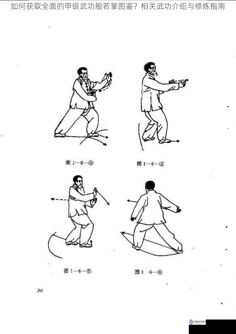 如何获取全面的甲级武功般若掌图鉴?相关武功介绍与修炼指南