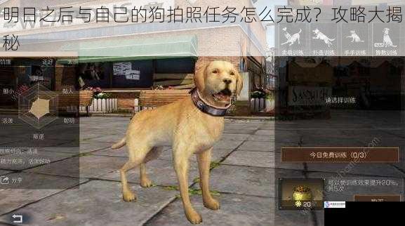 明日之后与自己的狗拍照任务怎么完成?攻略大揭秘