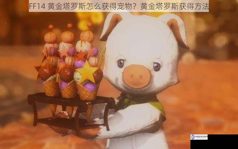 FF14 黄金塔罗斯怎么获得宠物?黄金塔罗斯获得方法