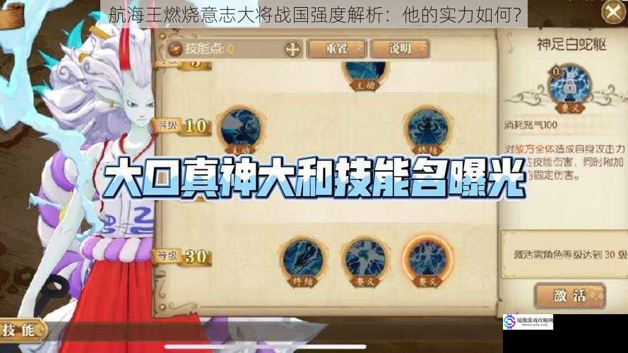 航海王燃烧意志大将战国强度解析:他的实力如何?