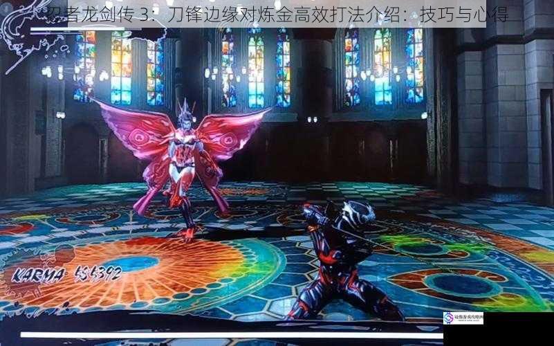 忍者龙剑传 3:刀锋边缘对炼金高效打法介绍:技巧与心得