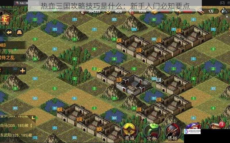 热血三国攻略技巧是什么:新手入门必知要点