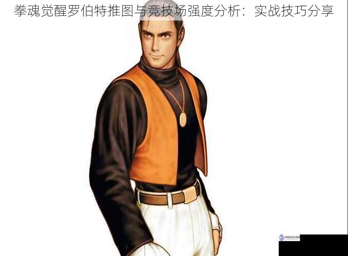 拳魂觉醒罗伯特推图与竞技场强度分析:实战技巧分享