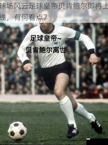 球场风云:足球皇帝贝肯鲍尔即将上线,有何看点?