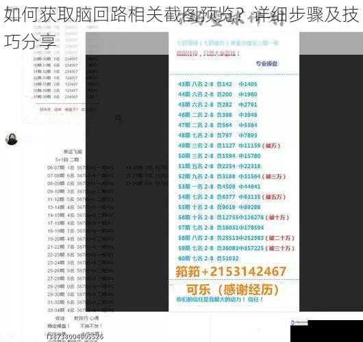 如何获取脑回路相关截图预览?详细步骤及技巧分享