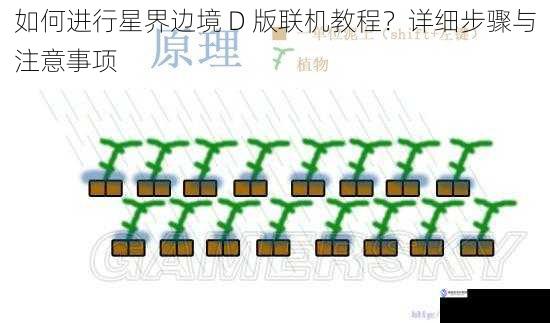 如何进行星界边境 D 版联机教程?详细步骤与注意事项