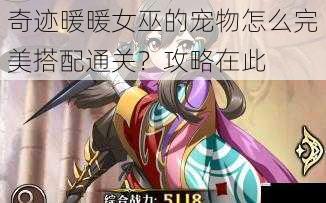 奇迹暖暖女巫的宠物怎么完美搭配通关?攻略在此