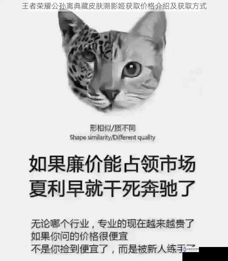 价格方面