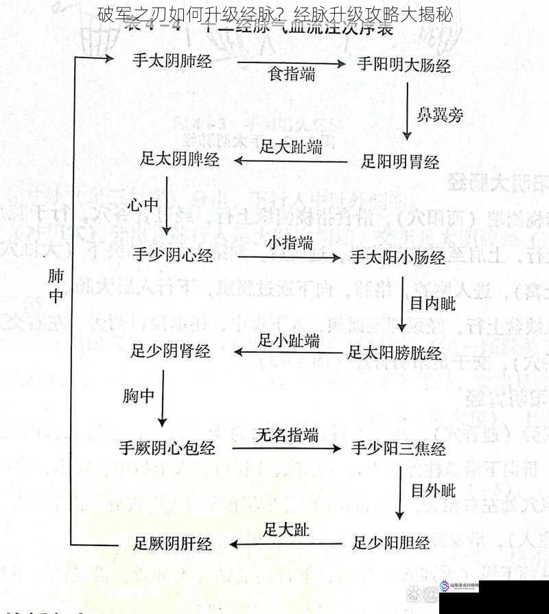 经脉系统概述