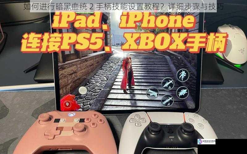 连接手柄并进入游戏设置
