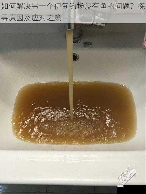 水质问题