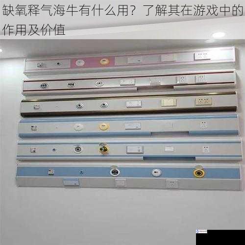 提供氧气供应