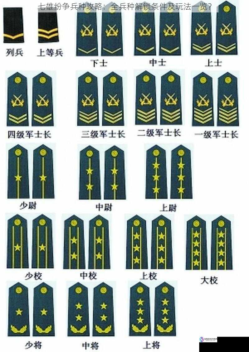 兵种类型与特点