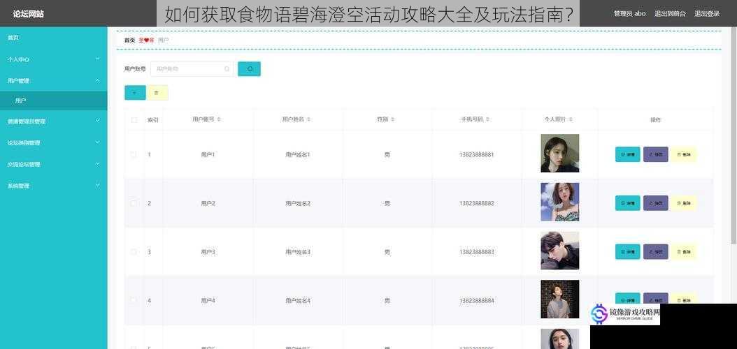 攻略网站与论坛