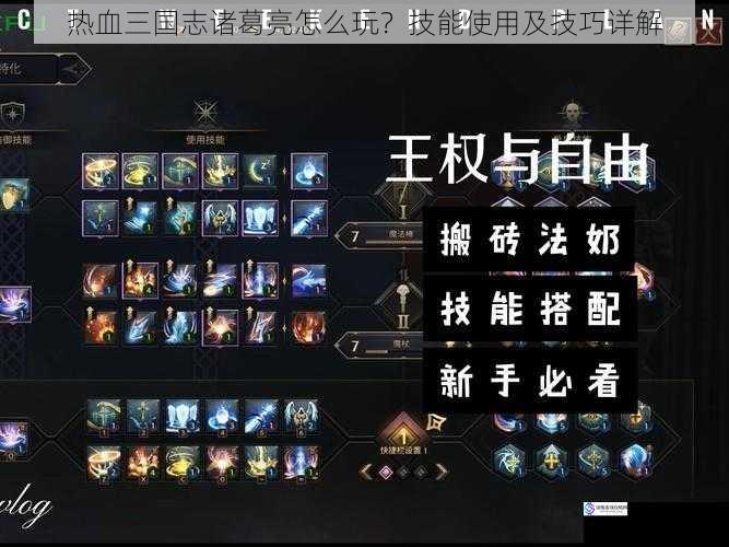 技能搭配与组合