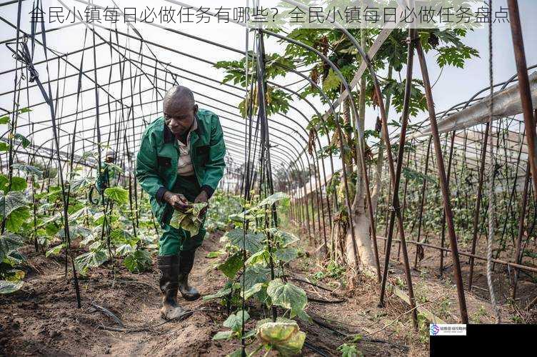 种植与收获任务
