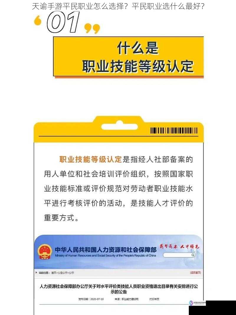 职业技能与特点