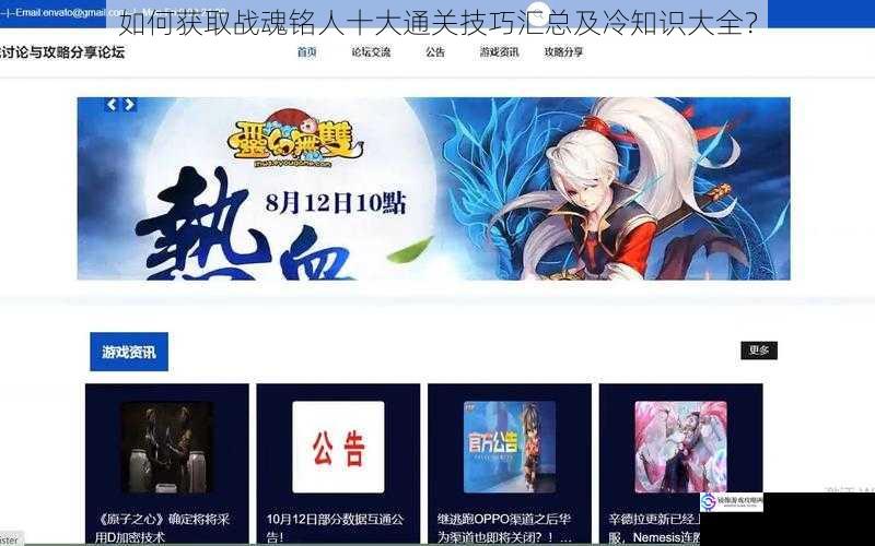 攻略网站与论坛
