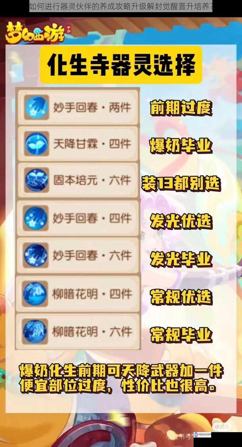 选择合适的器灵伙伴