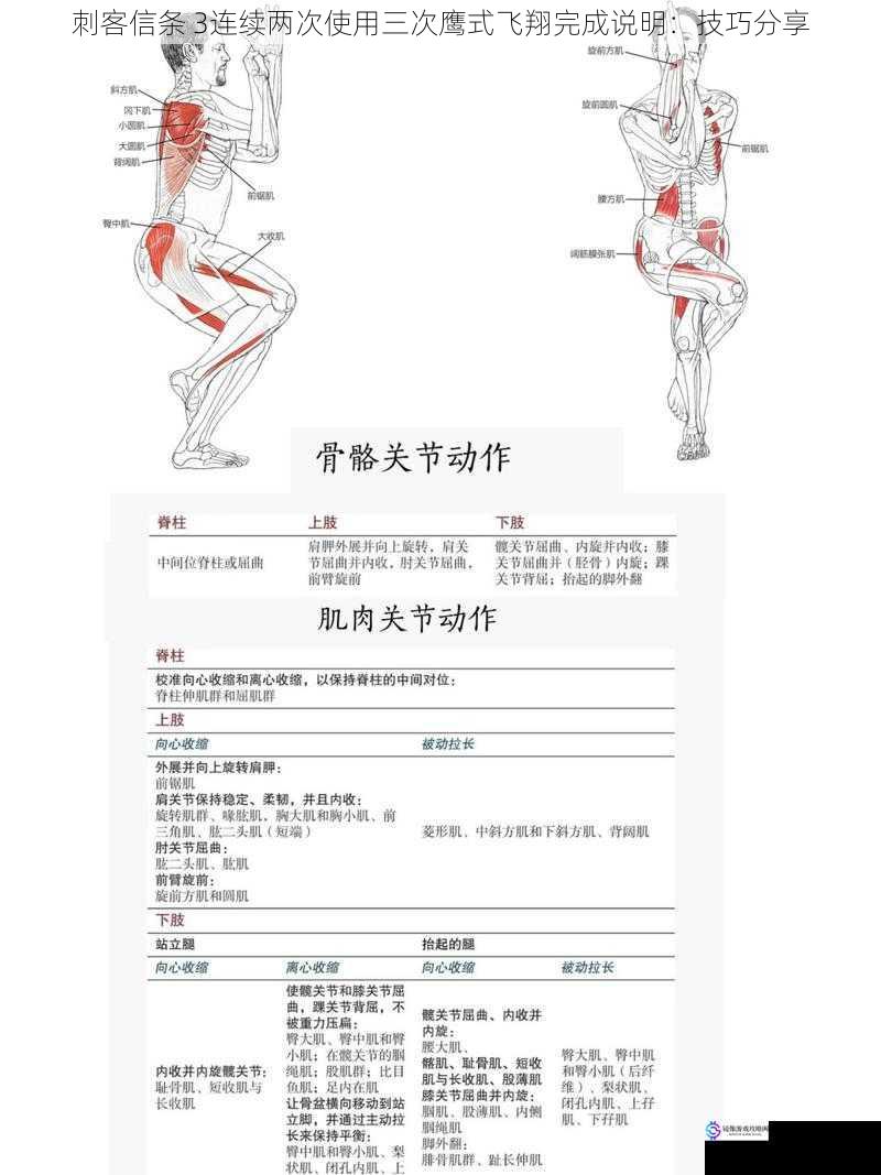 掌握鹰式飞翔的基本操作