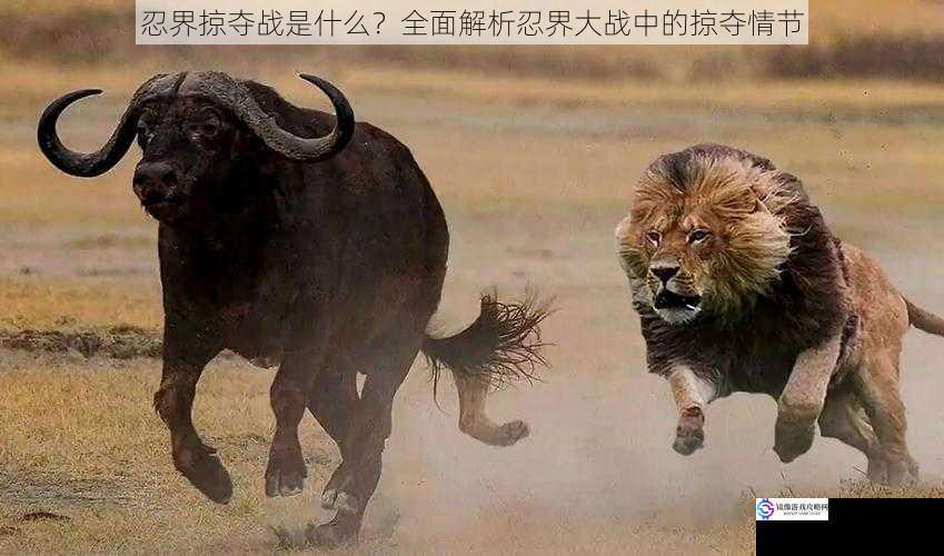 资源掠夺:生存与发展的较量