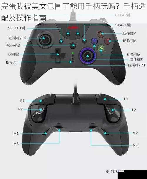 手柄兼容性方面