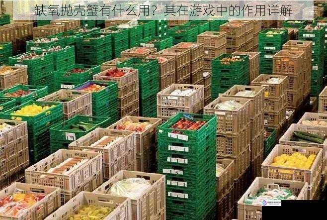 食物供应方面