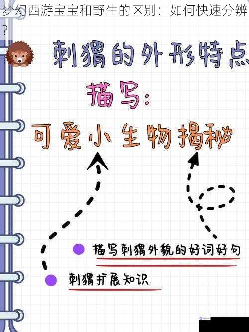 外观特征