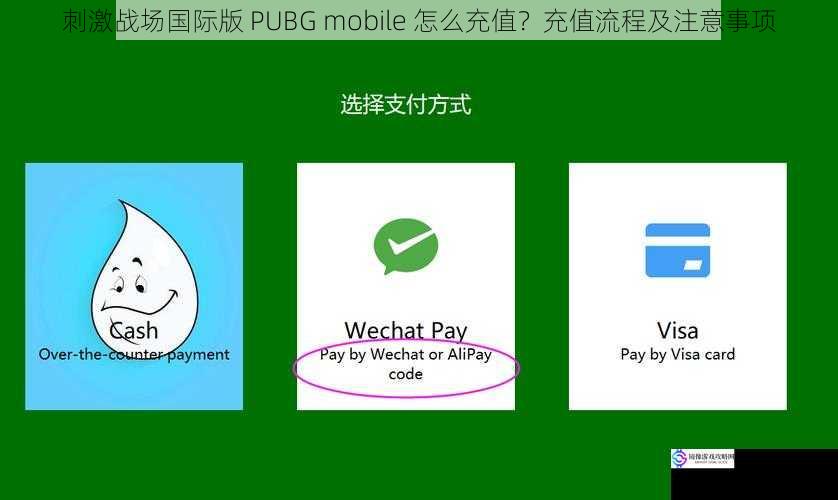 支付方式选择