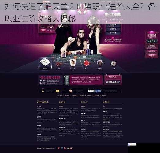 官方网站与游戏资料