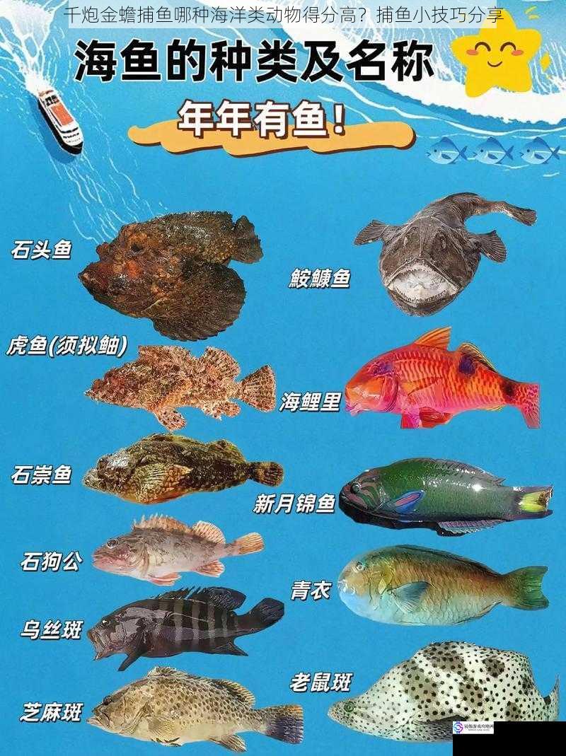 鱼类种类与得分