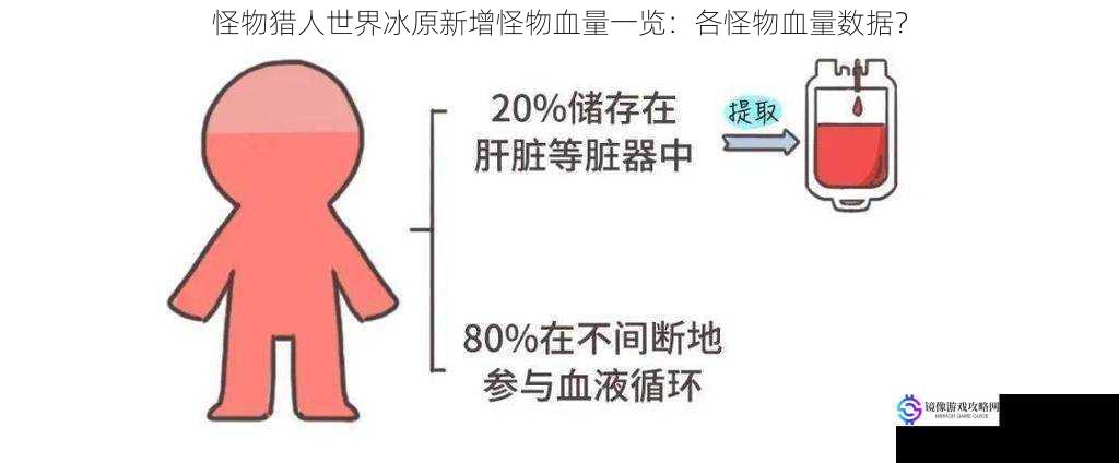 体型与血量的关系