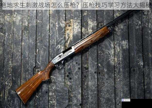 了解枪械特性